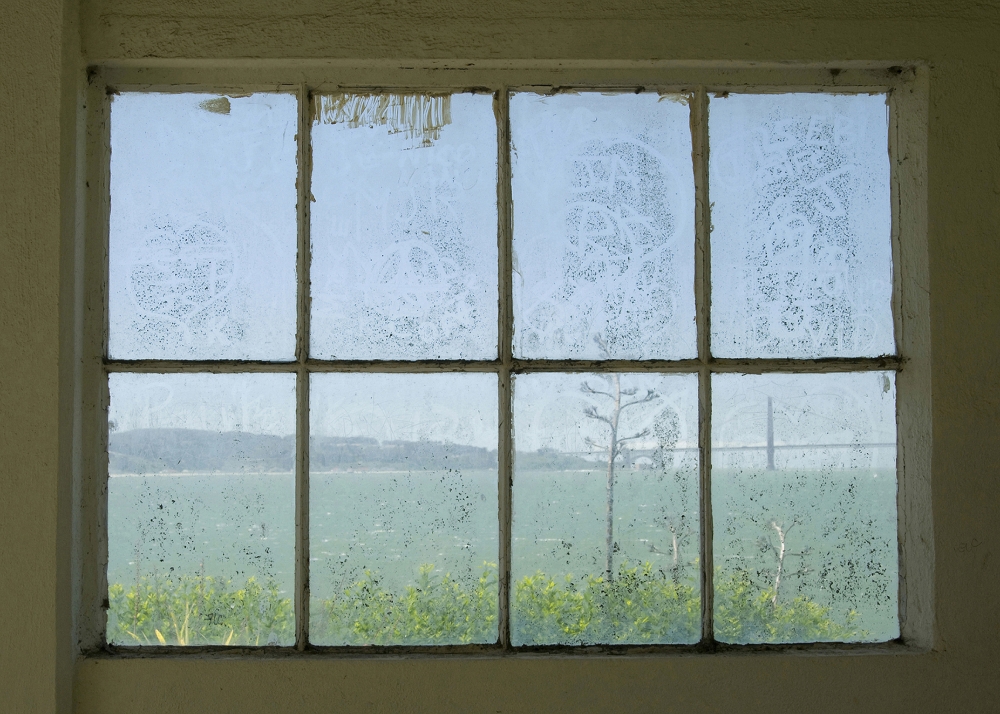 "Free Window" de Ricardo Orsi