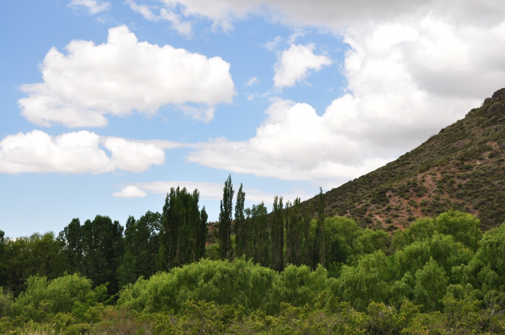 "paisajes de Mendoza" de Jose Alberto Vicente