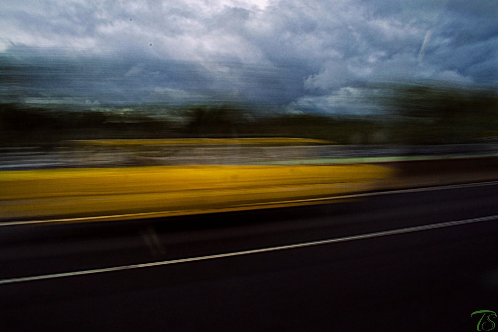 "Speed Yellow" de Guillermo Toso Stolbizer