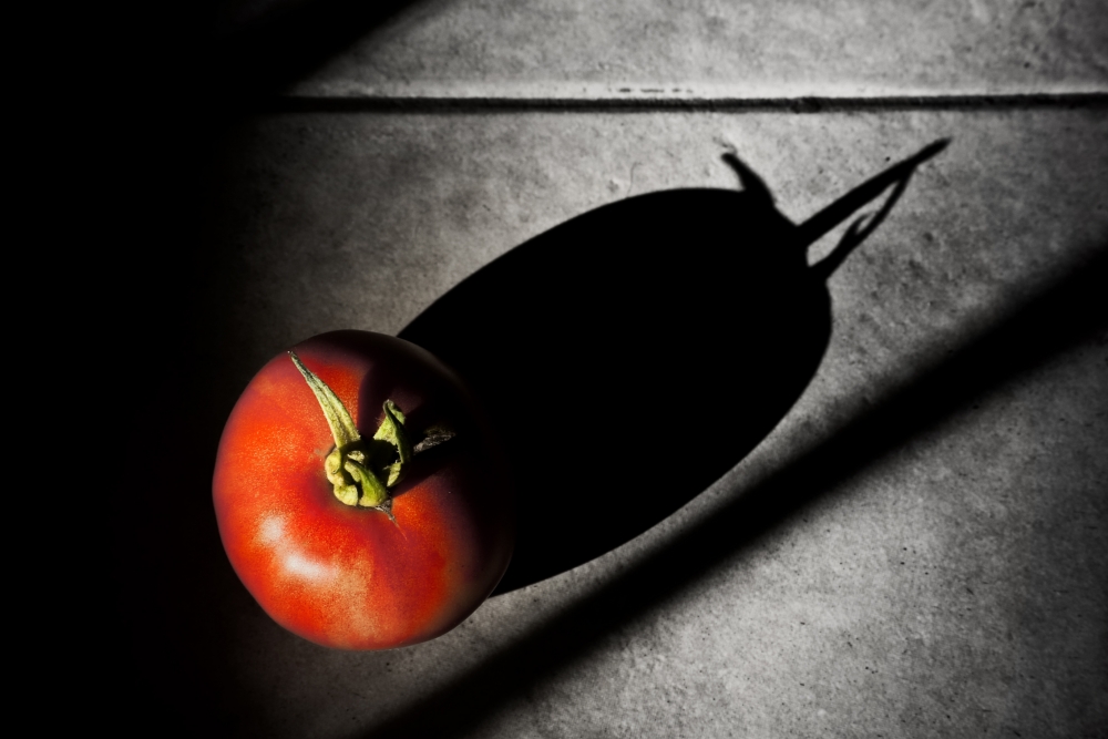 "Qu culpa tiene el tomate" de Carmen Nievas