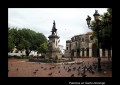 Palomas en Santo Domingo