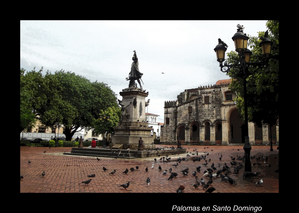 "Palomas en Santo Domingo" de Angel De Pascalis