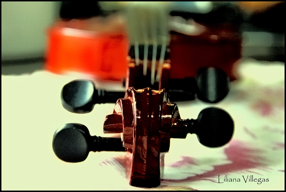 "El rulo (de la serie `su violin`)" de Liliana Villegas