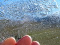 Trozo de hielo de la Laguna del Tromen