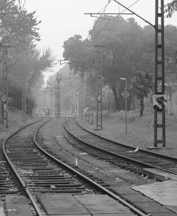 "camino del tren de la costa" de Ricardo Buceta