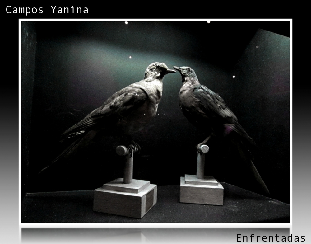 "Enfrentadas" de Yanina Campos
