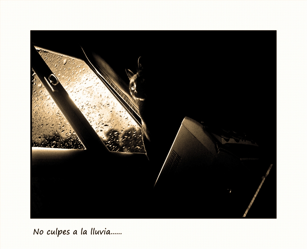 "No culpes a la lluvia...." de Nora Lilian Iturbide ( Noral )