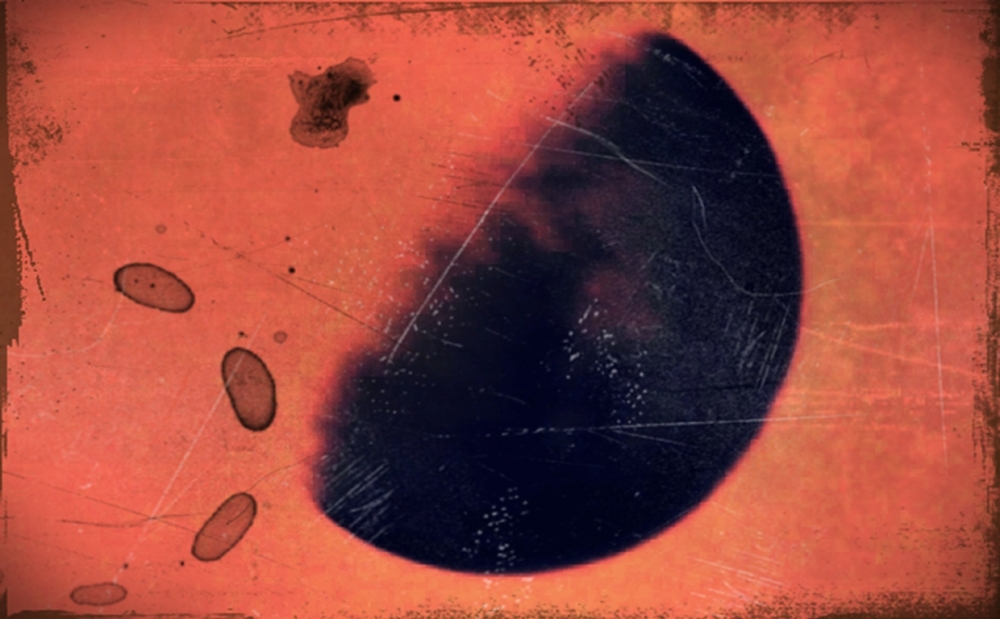 "El lado oscuro de la luna" de Juan Menoni