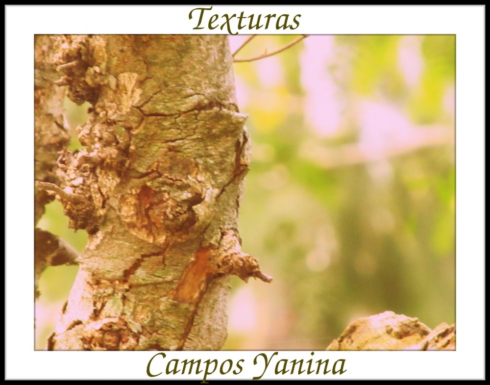 "Texturas" de Yanina Campos