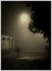 madrugada y niebla II