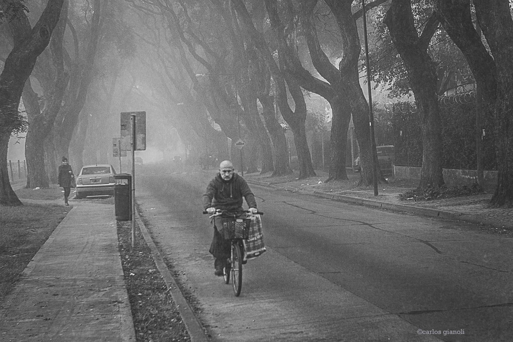 "Pedaleando entre la niebla" de Carlos Gianoli