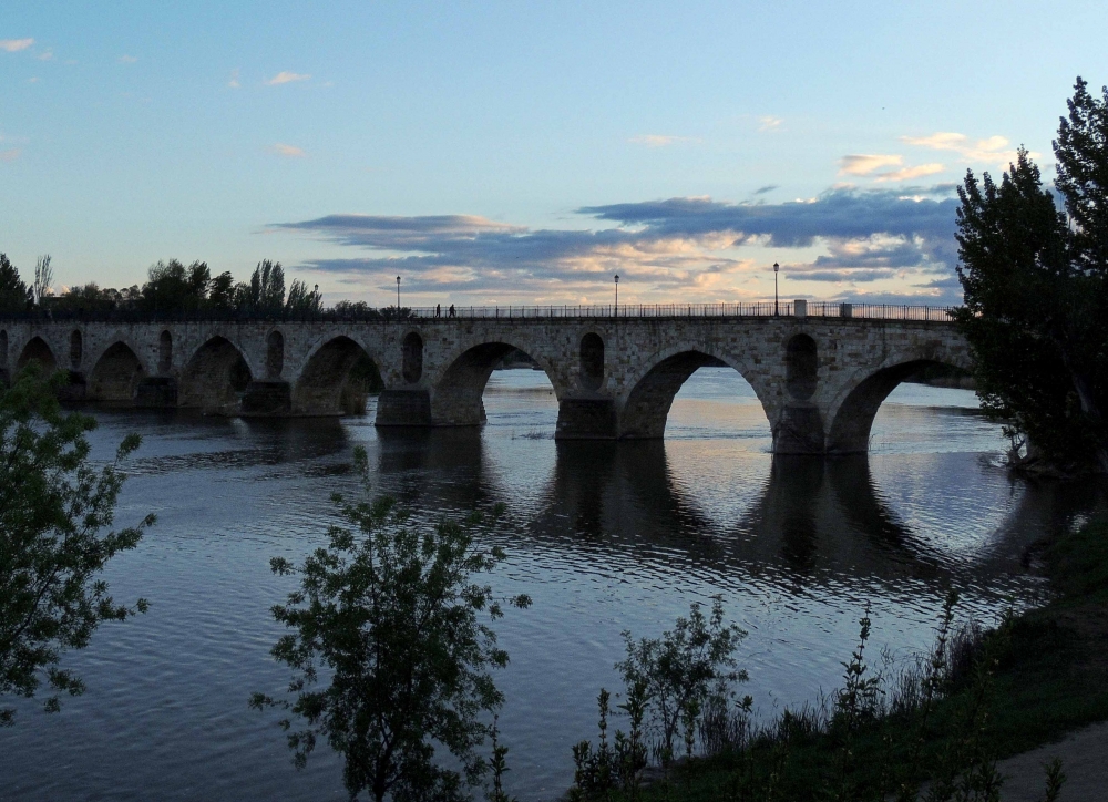 "Puente sobre el rio Duero (Zamora)" de Ricardo Lagrange