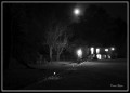 La casa y la luna