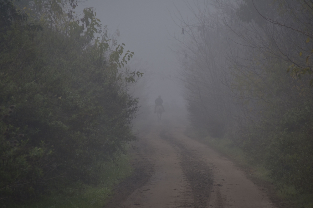 "entre la niebla" de Santiago Mena