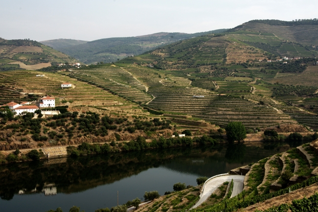 "Douro vinhateiro - Pinho - Portugal" de Jos Magalhes