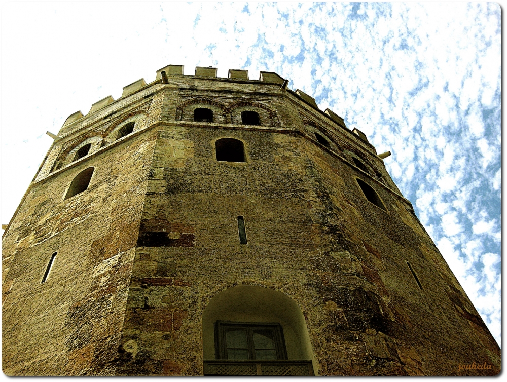 "La ToRRe de oRo" de Joana Sansalvador Roca