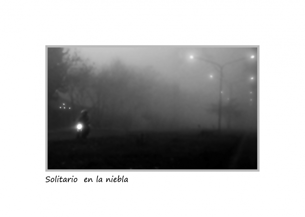 "Solitario en la niebla" de Nora Lilian Iturbide ( Noral )