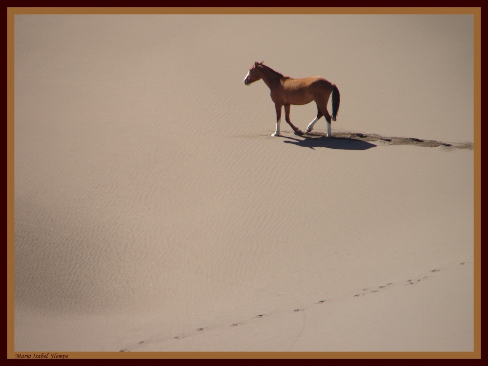 "Perdido en el desierto..." de Maria Isabel Hempe