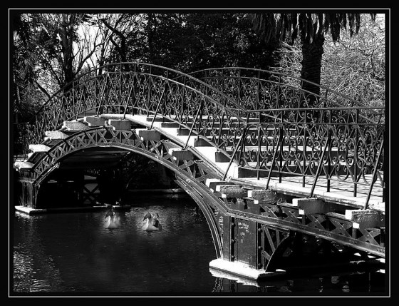"El puente ...." de Arturo H. Pea