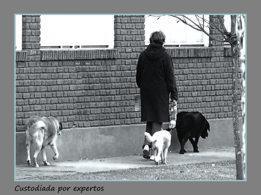 "Custodiada por expertos" de Nora Lilian Iturbide ( Noral )