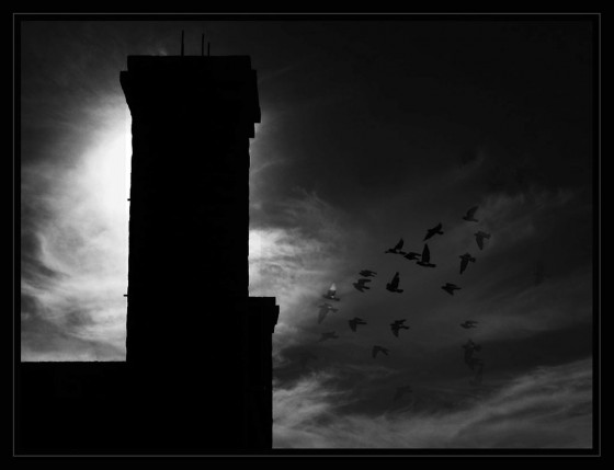 "La Torre ...." de Arturo H. Pea
