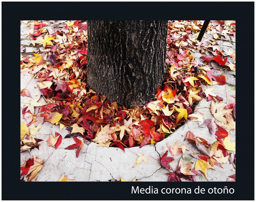 "Media corona de otoo" de Analia Coccolo