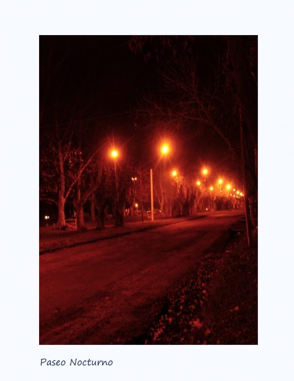 "Paseo nocturno" de Nora Lilian Iturbide ( Noral )
