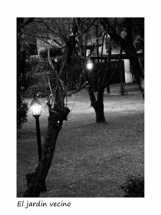 "Jardin vecino" de Nora Lilian Iturbide ( Noral )