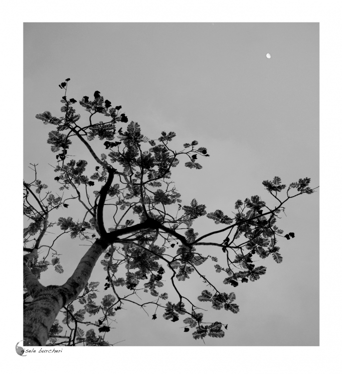 "Baos de luna" de Gisele Burcheri