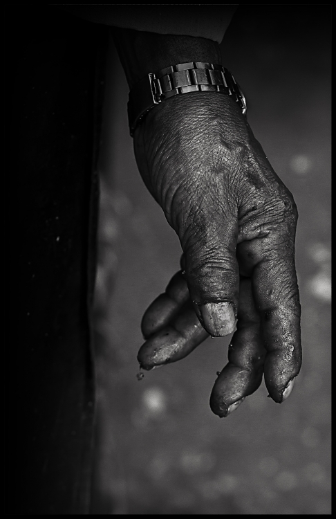 "Las manos del asador" de Claudio Margolin