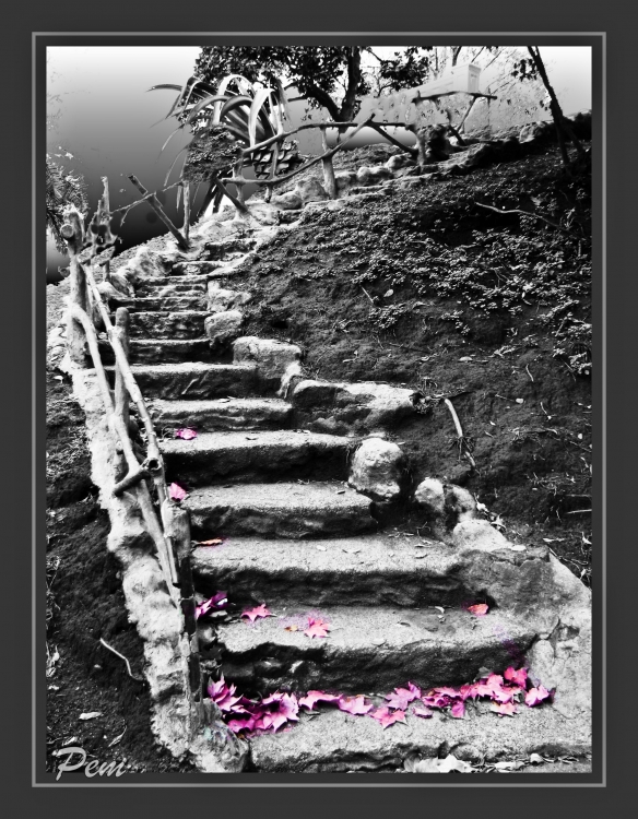 "La escalera olvidada..." de Enrique M. Picchio ( Pem )