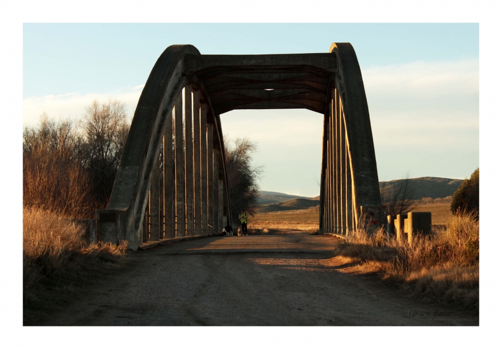 "El Puente." de Grace Lazzaro