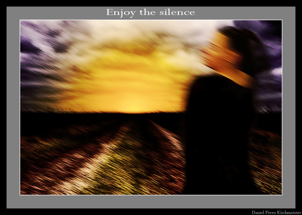 "Enjoy the silence" de Daniel Prez Kchmeister