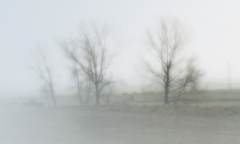 "Niebla2" de Antonio Perez Rodriguez