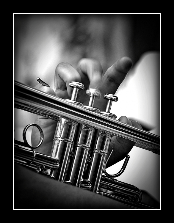 "Solo de trompeta" de Alberto Elizalde
