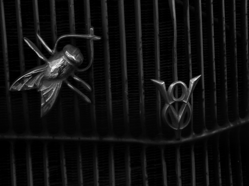 "un aplauso para el V8!!!!! (La mosca)" de Norberto Vazquez