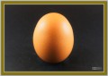 Del grupo: Orgnico, `El huevo de Coln`