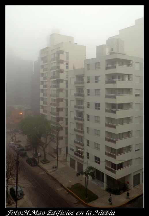 "edifivios en la niebla" de Hector Mao