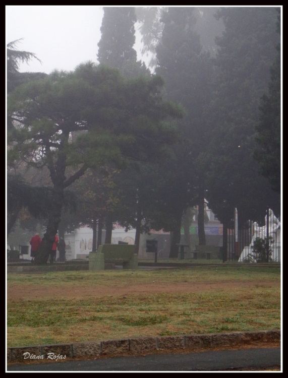 "La plaza con niebla" de Diana Rojas