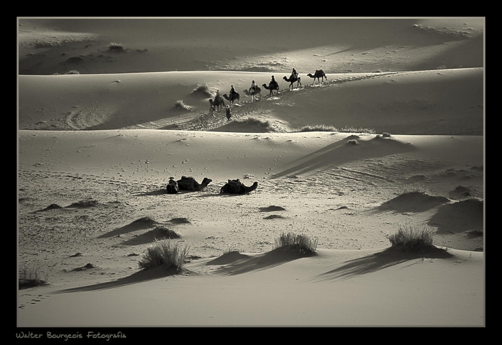 "Caravana en el desierto..." de Walter Bourgeois