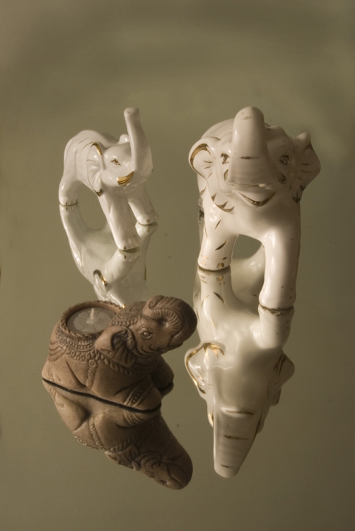 "elefantitos" de Ricardo Clodomiro Torres