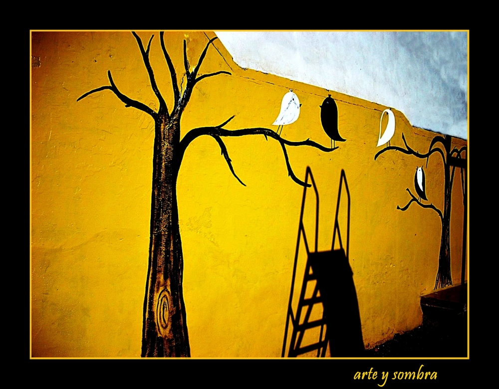 "arte y sombra" de Claudia Rios