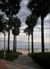 Miami beach...
