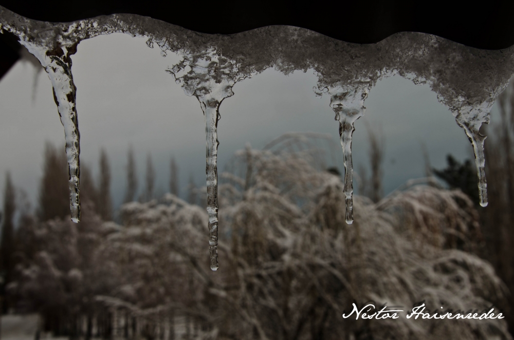"Nieve en Septiembre..." de Nestor Haisenreder