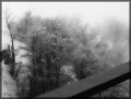 Niebla y nieve... desde la ventana...