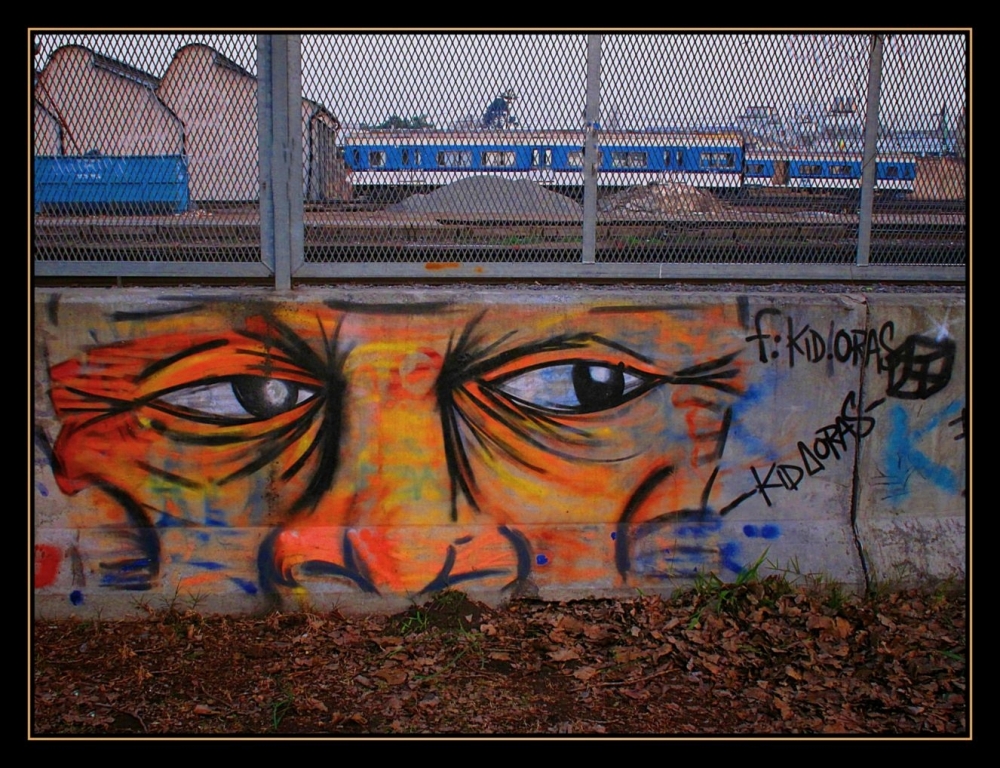 "`El tren...el muro...y nosotros`" de Anibal Roberto Uslenghi