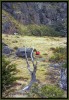 En la soledad patagnica