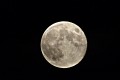 luna llena (serra) valencia-Espaa
