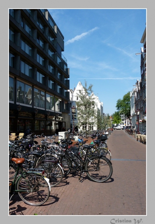 "Amsterdam... esas bicicletas..." de Cristina Wnetrzak