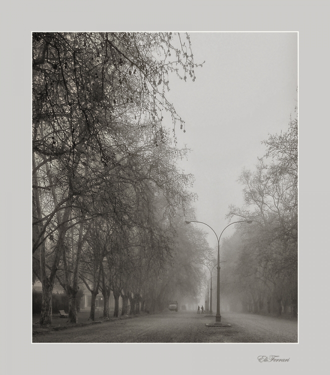 "El Parque y la niebla" de Eli - Elisabet Ferrari